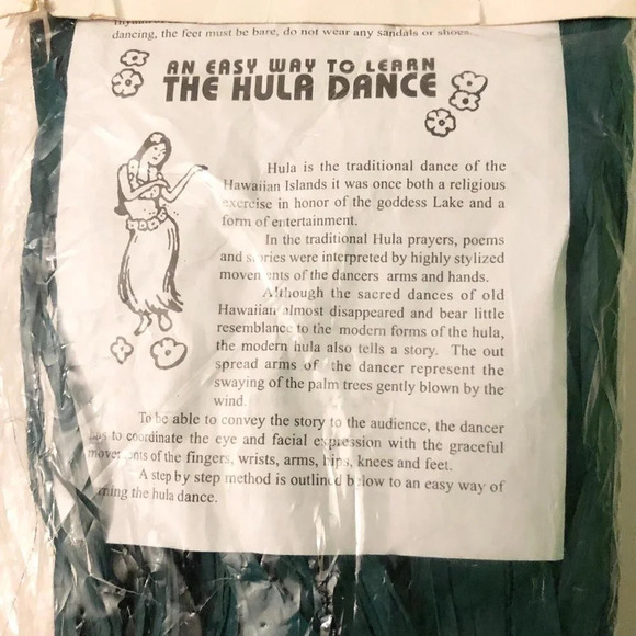 Hawaiin Hula Girl Costume With Raffia Skirt And Coconut Top Child Size Halloween - Picture 3 of 16